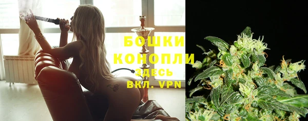 спиды Киреевск