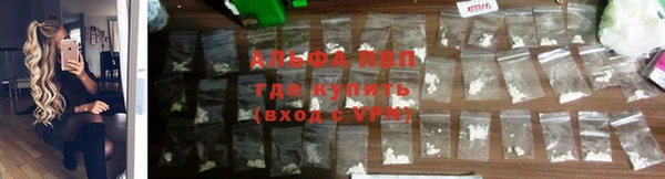 спиды Киреевск